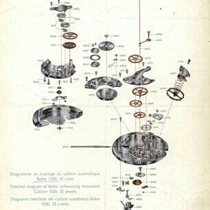 rolex oralogio manuale pdf